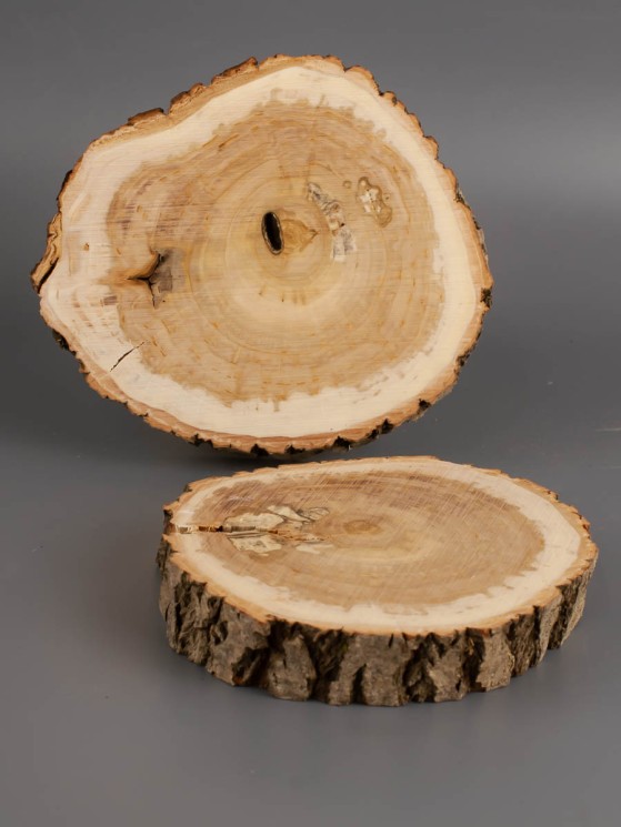 Спил дерева ива d 10-12 см (2 шт.) ТВ-1964