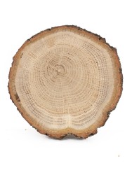 Спил дерева дуб d 8-10 см ТВ-1079