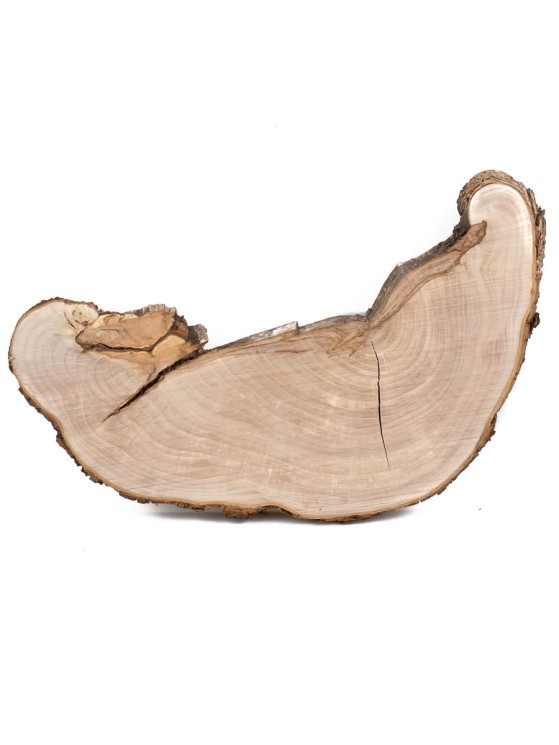 Спил дерева груша d 18-36 см ТВ-1461