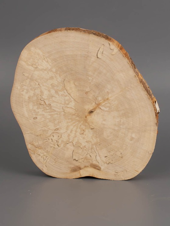 Спил дерева берёза (шпальт) d 10-13 см ТВ-1965