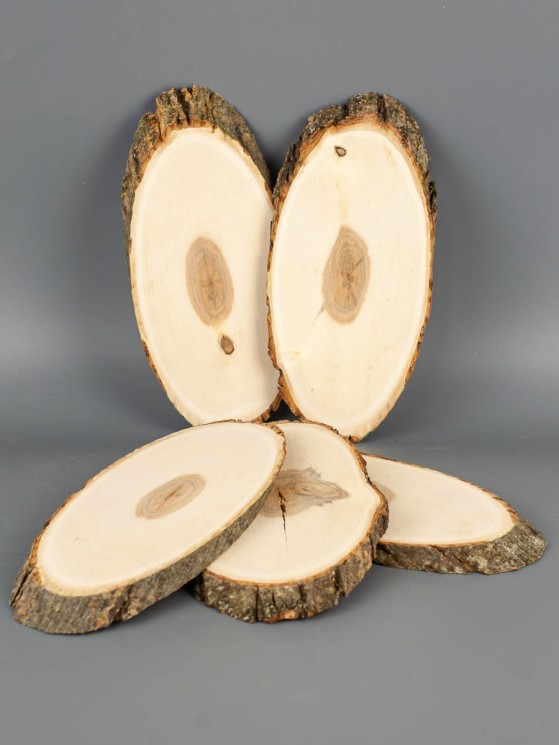 Спил дерева ива d 7-15 см (5 шт.) ТВ-2089