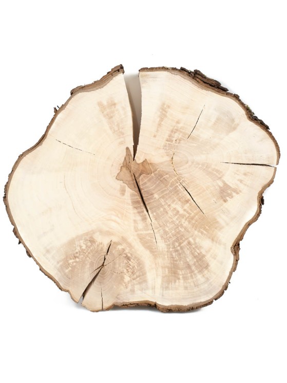 Спил дерева груша d 25-28 см ТВ-1462