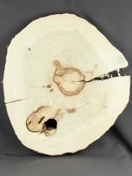 Спил дерева тополь d 41-46 см ТВ-1772