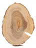 Спил дерева лиственница d 12-15 см, толщина 13-17 мм (1 шт.) ТВ-423