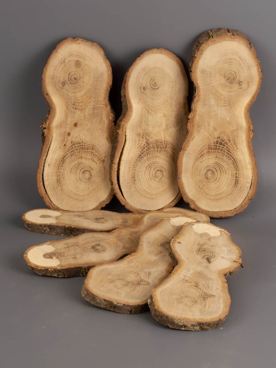 Набор спилов дуб d 5-14 см (7 шт.) ТВ-1966