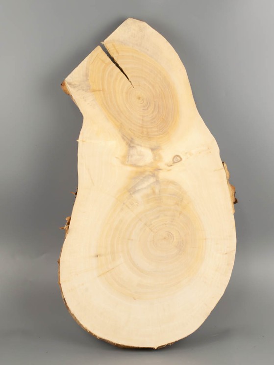 Спил дерева ива d 28-53 см ТВ-2048