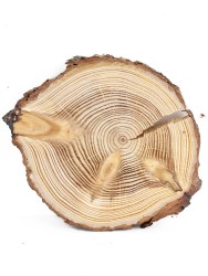Спил лиственницы d 12-14 см ТВ-547