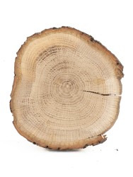 Спил дерева дуб d 8-10 см ТВ-1081
