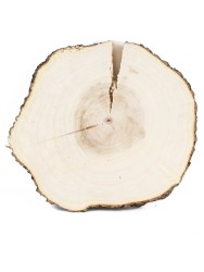 Спил дерева клён d 16-18 см ТВ-1288