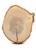 Спил дерева лиственница d 12-14 см, толщина 15-18 мм (1 шт.) ТВ-424