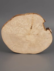 Спил дерева берёза (шпальт) d 11-13 см ТВ-1967