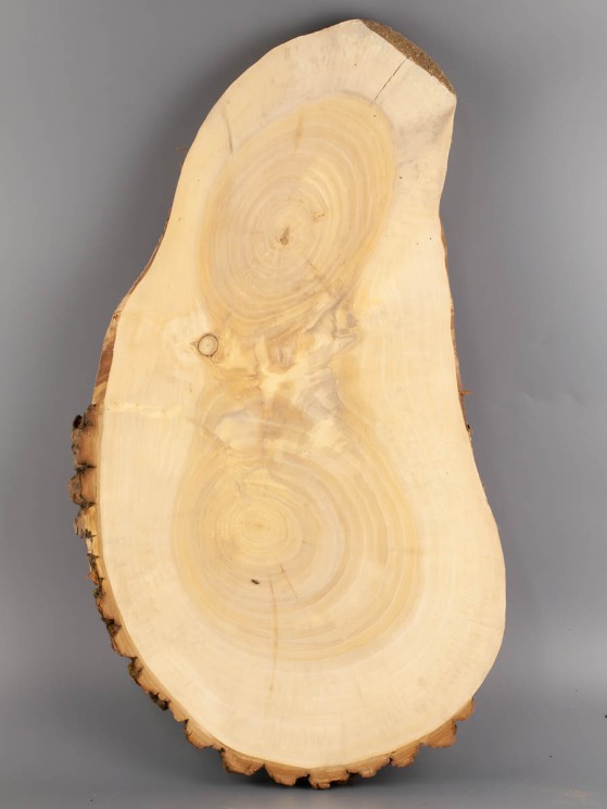 Спил дерева ива d 28-52 см ТВ-2049