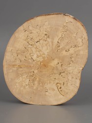 Спил дерева берёза (шпальт) d 10-12 см ТВ-1968