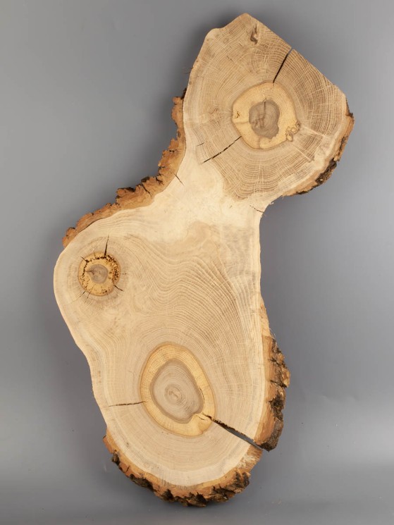 Спил дерева дуб d 24-52 см ТВ-2050