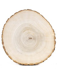Спил дерева тополь d 25-28 см. ТВ-919