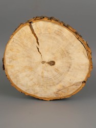 Спил дерева каштан (шпальт) d 19-21 см ТВ-1853