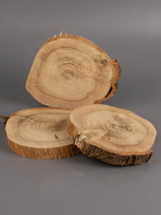 Спил дерева дуб d 7-9 см (3 шт.) ТВ-1969