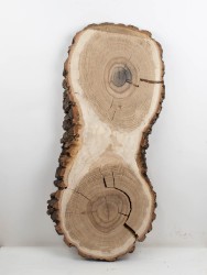 Спил дерева дуб d 30-64 см ТВ-2051