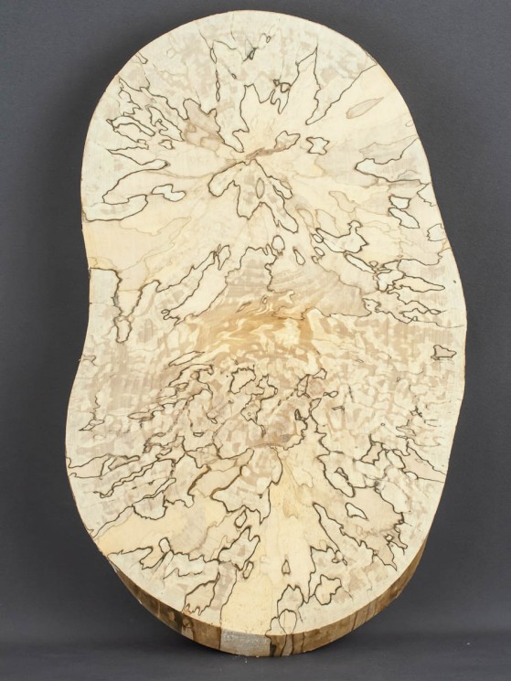 Спил дерева берёза (шпальт) d 19-35 см ТВ-1670