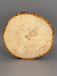 Спил дерева каштан (шпальт) d 19-21 см ТВ-1854