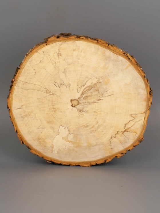 Спил дерева каштан (шпальт) d 19-21 см ТВ-1854