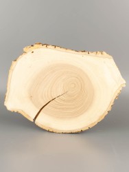 Спил дерева ясень d 19-25 см ТВ-2111