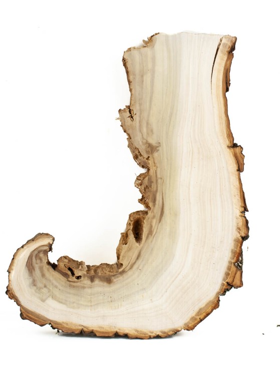 Спил дерева тополь d 20-28 см. КЛ-0033