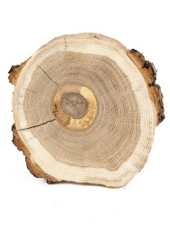 Спил дерева дуб d 17-20 см ТВ-1243