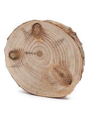 Спилы сосны d 6-7 см, толщина 8-9 мм (3 шт.) ТВ-005