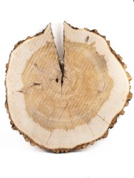 Спил дерева ива d 68-70 см ТВ-1671