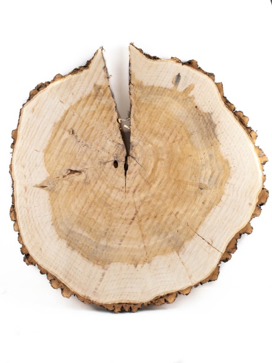 Спил дерева ива d 68-70 см ТВ-1671