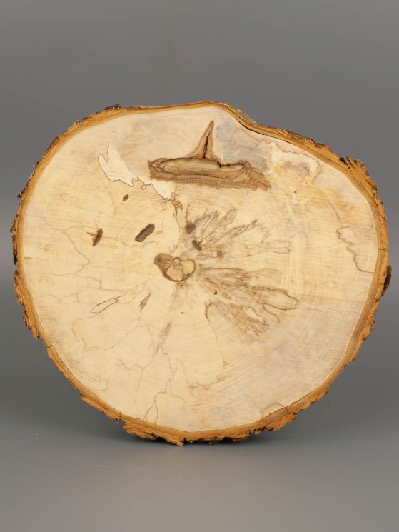 Спил дерева каштан (шпальт) d 20-22 см ТВ-1855