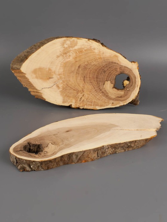 Спил дерева яблоня d 9-18 см 2 шт. ТВ-1971