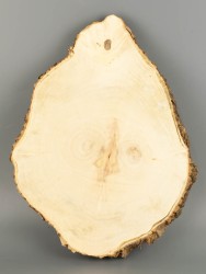 Спил дерева клён d 22-30 см ТВ-2052