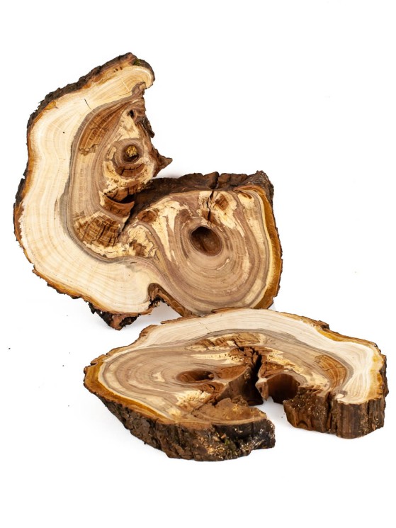 Спил дерева яблоня 12-15 см (2 шт.) ТВ-1347