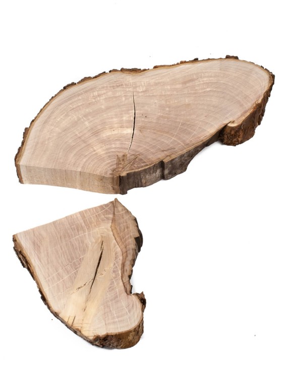 Спил дерева груша d 17-35 см ТВ-1467