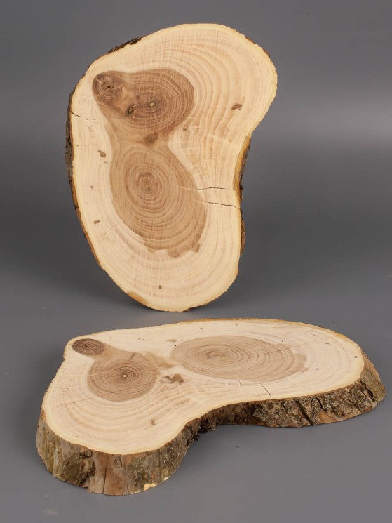 Спил дерева яблоня d 9-14 см 2 шт. ТВ-1972