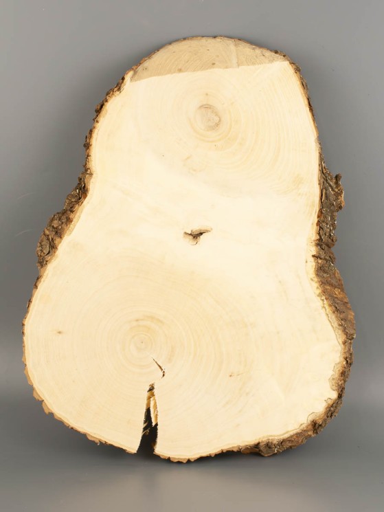 Спил дерева клён d 24-30 см ТВ-2053