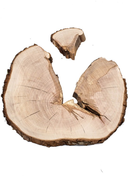 Спил дерева груша d 28-32 см ТВ-1468