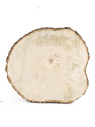 Спил дерева клён d 22-24 см ТВ-1065