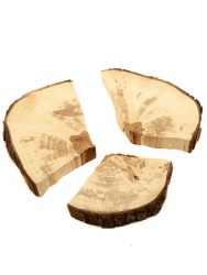 Спил дерева груша d 23-25 см ТВ-1777