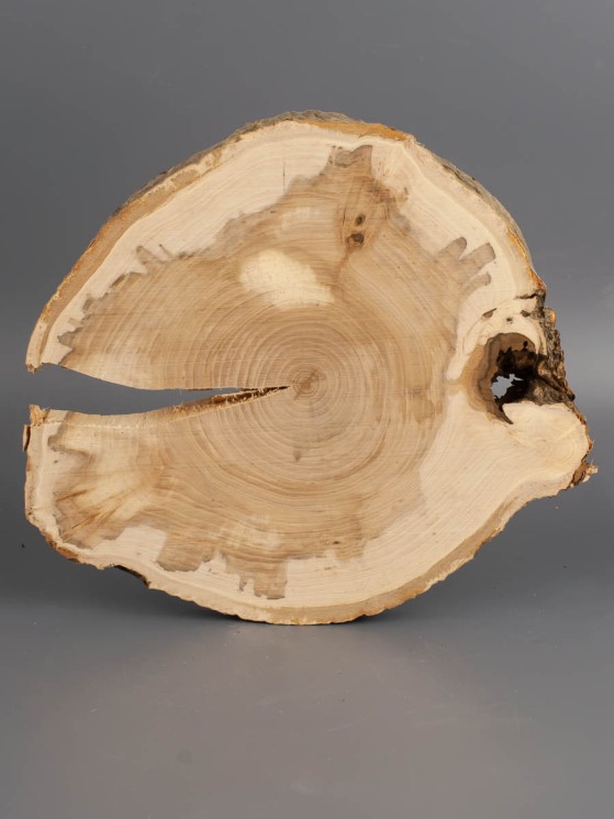 Спил дерева слива d 16-19 см ТВ-1974