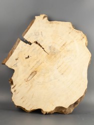 Спил дерева клён d 42-45 см ТВ-2233