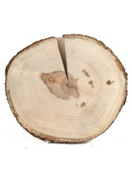 Спил дерева груша d 15-17 см ТВ-1326