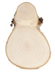 Спил дерева берёза d 13-19 см, толщина 15-17 мм ТВ-254