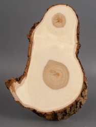 Спил дерева ива d 10-18 см ТВ-1975