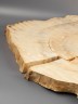 Спил дерева клён d 40-60 см ТВ-2234