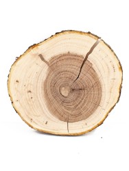 Спил дерева яблоня d 12-14 см ТВ-1349