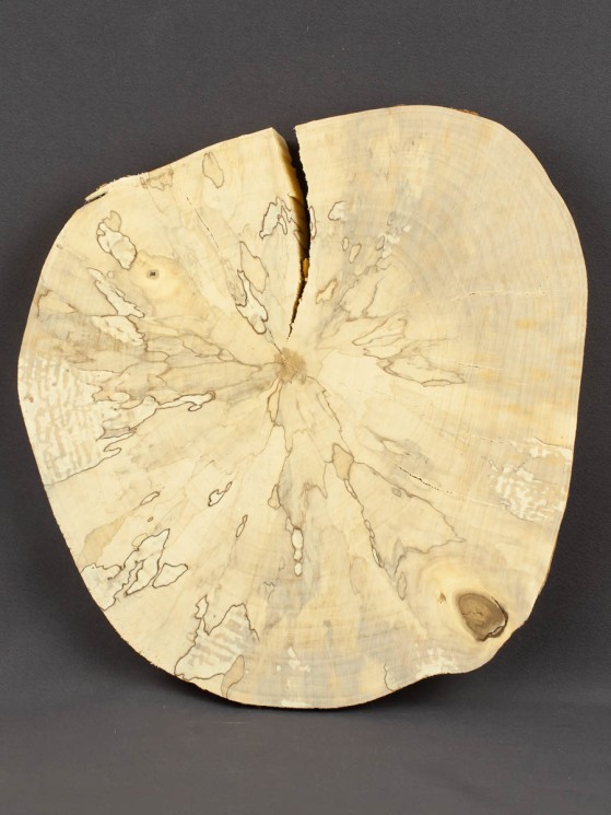 Спил дерева берёза (шпальт) d 22-25 см ТВ-1545