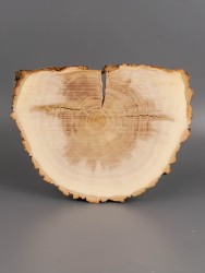 Спил дерева ива d 13-17 см ТВ-1976